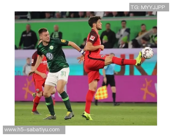 2018德甲-德甲在2018年的风采-2018德甲